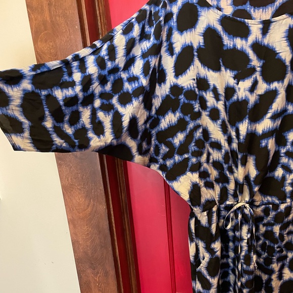 Twelfth Street by Cynthia Vincent silk dress - Picture 6 of 6